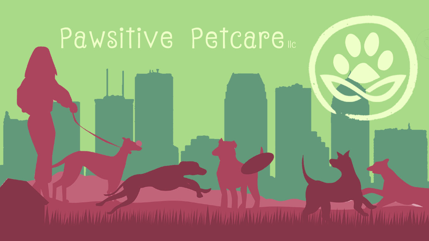 Pawsitive Petcare Tampa