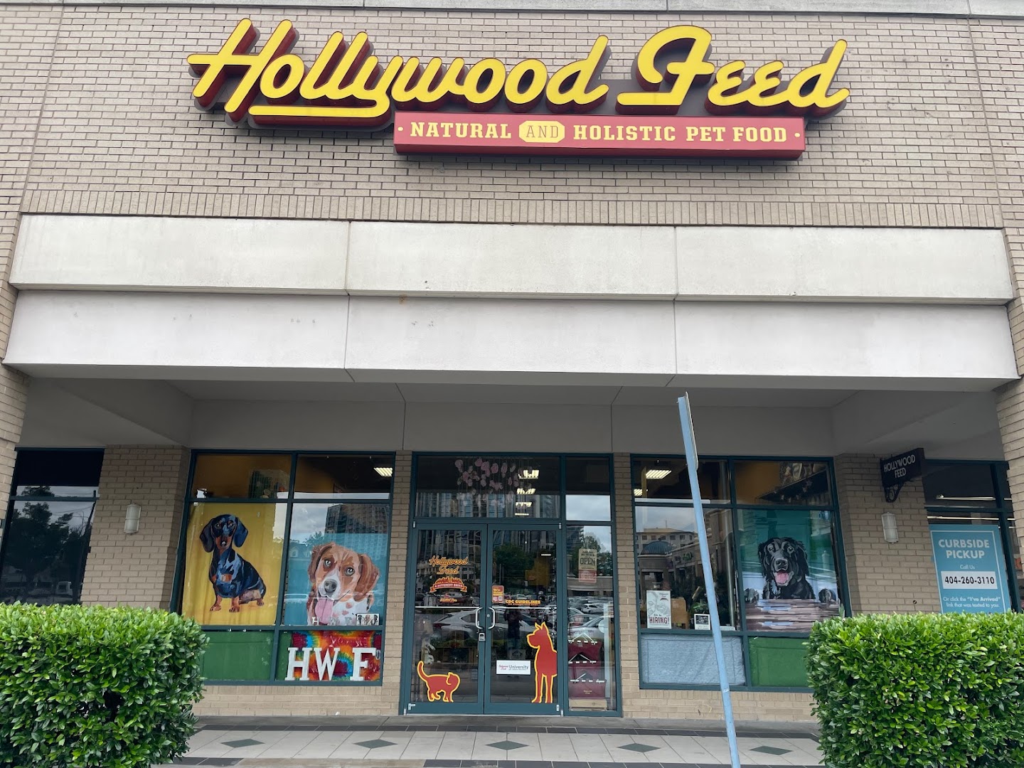 Hollywood Feed