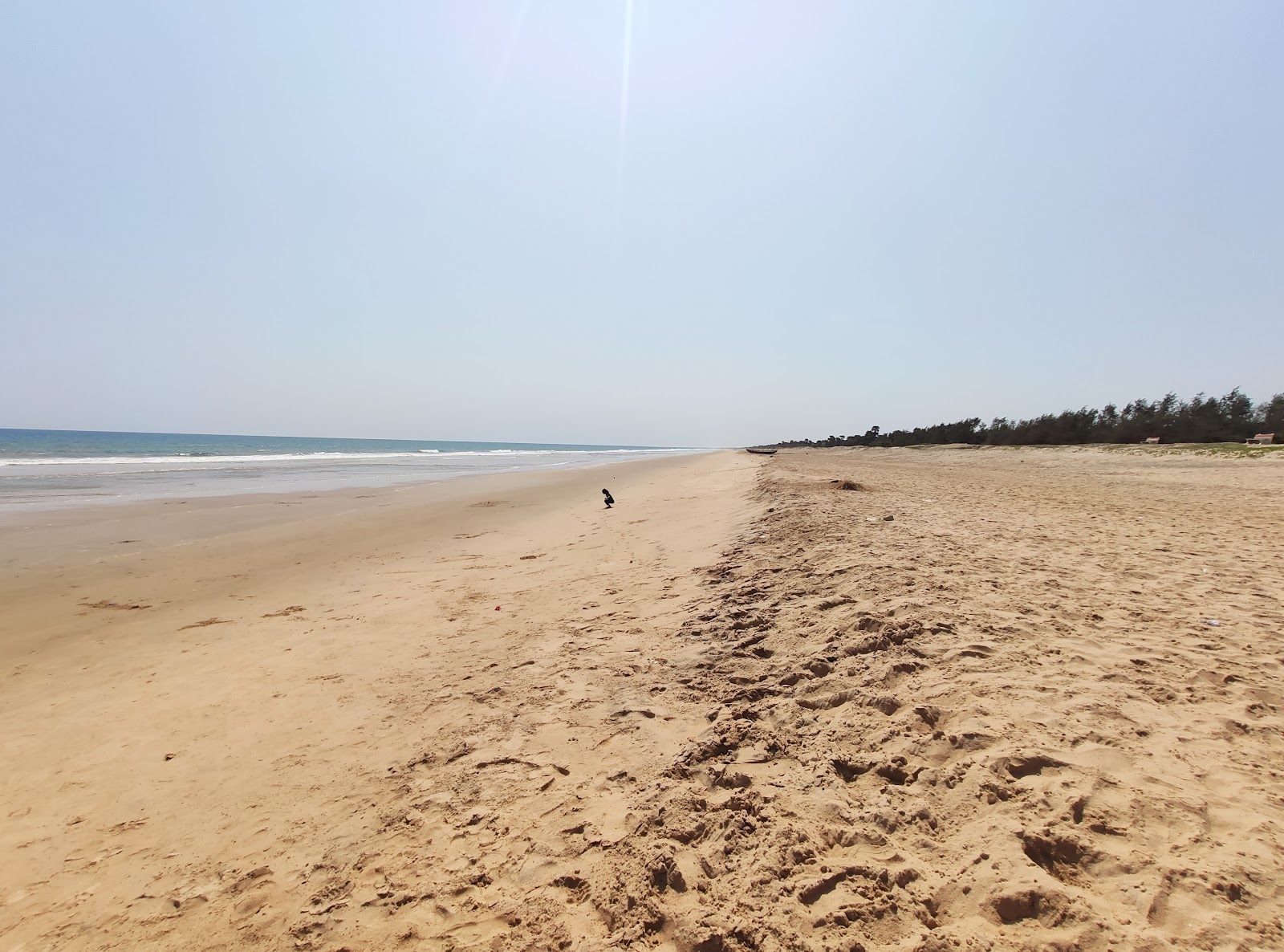 Valokuva Jagannnadhapuram Beachista. pinnalla kirkas hiekka:n kanssa