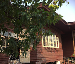 BanBan Cafe&Kitchen photo