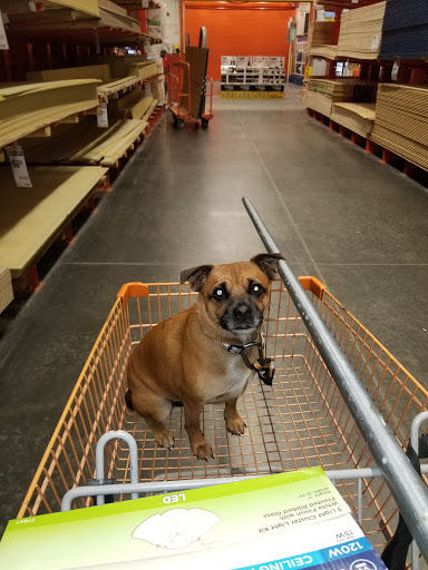 Home Improvement Store «The Home Depot», reviews and photos, 874 E I- 10 Srv Rd, Slidell, LA 70461, USA