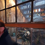 Photo n°3 de l'avis de Gabi.l fait le 28/11/2023 à 09:55 sur le  Gans Woanders à Munich