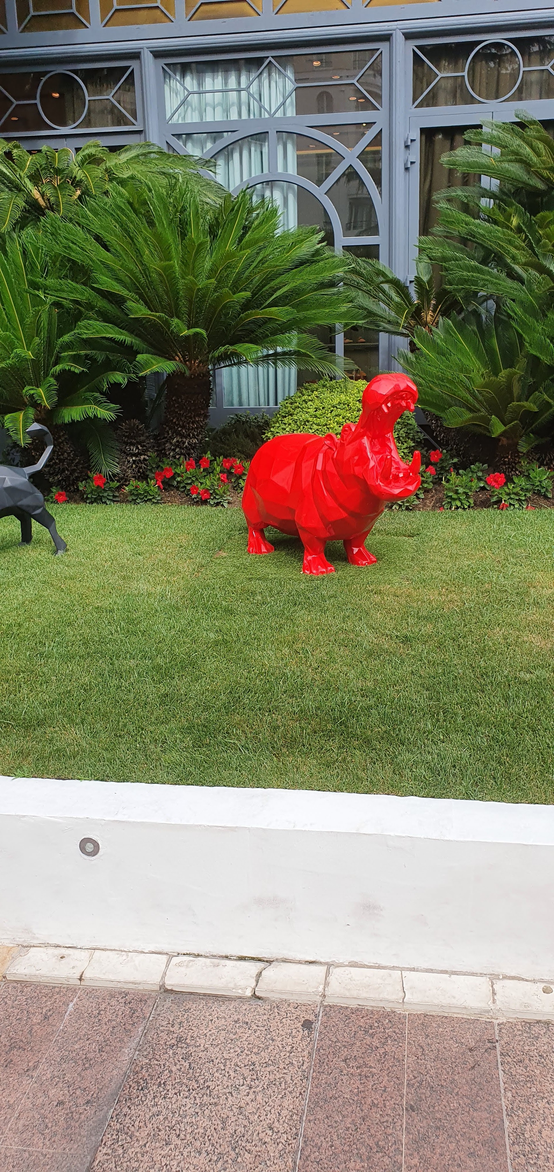 Photo n° 1 de l'avis de mezani.a fait le 12/08/2020 à 16:46