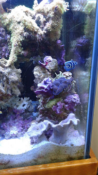 Coastal Chiropractic Wellness Center - Photo 3 - Car repair in Oceanside, CA, Oceanside