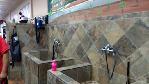 Pet Supply Store «Pet Valu», reviews and photos, 38661 Sussex Hwy, Delmar, DE 19940, USA