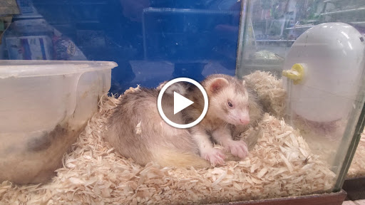 Pet Store «Suncoast Pets», reviews and photos, 7117 US-98, Panama City Beach, FL 32407, USA