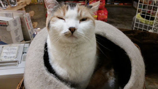 Pet Store «Next to Nature», reviews and photos, 4543 California Ave SW, Seattle, WA 98116, USA