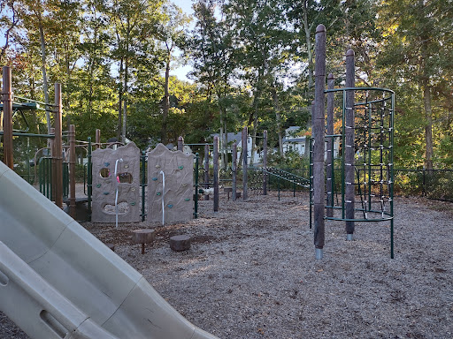 Hiking Area «Stony Brook Reservation», reviews and photos, Turtle Pond Pkwy, Hyde Park, MA 02136, USA