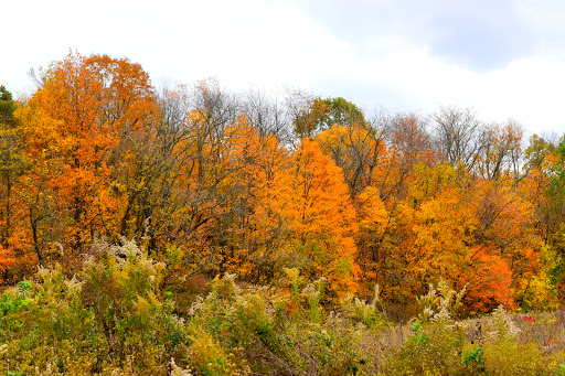 Park «Macgregor Park», reviews and photos, Macgregor Park Rd, Westfield, IN 46074, USA