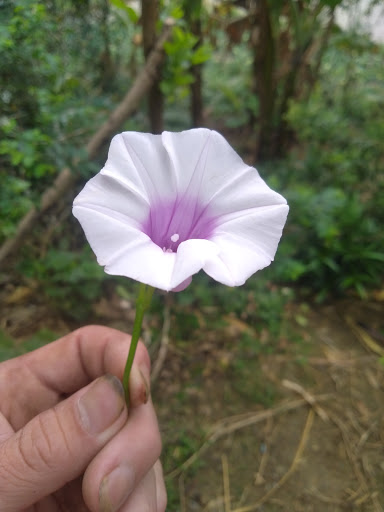 Top 17 cửa hàng elite Huyện Pác Nặm Bắc Kạn 2022