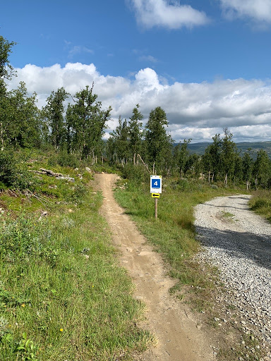 Geilo Bike Park