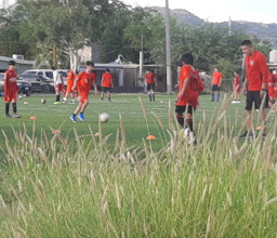 Football fields photo