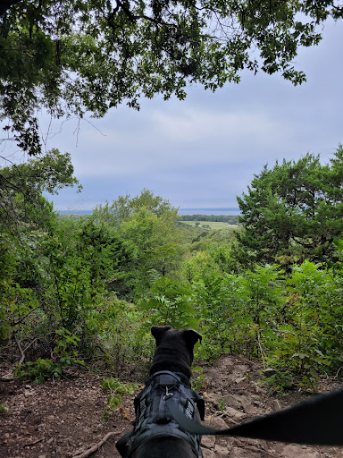 Escarpment Road Trail