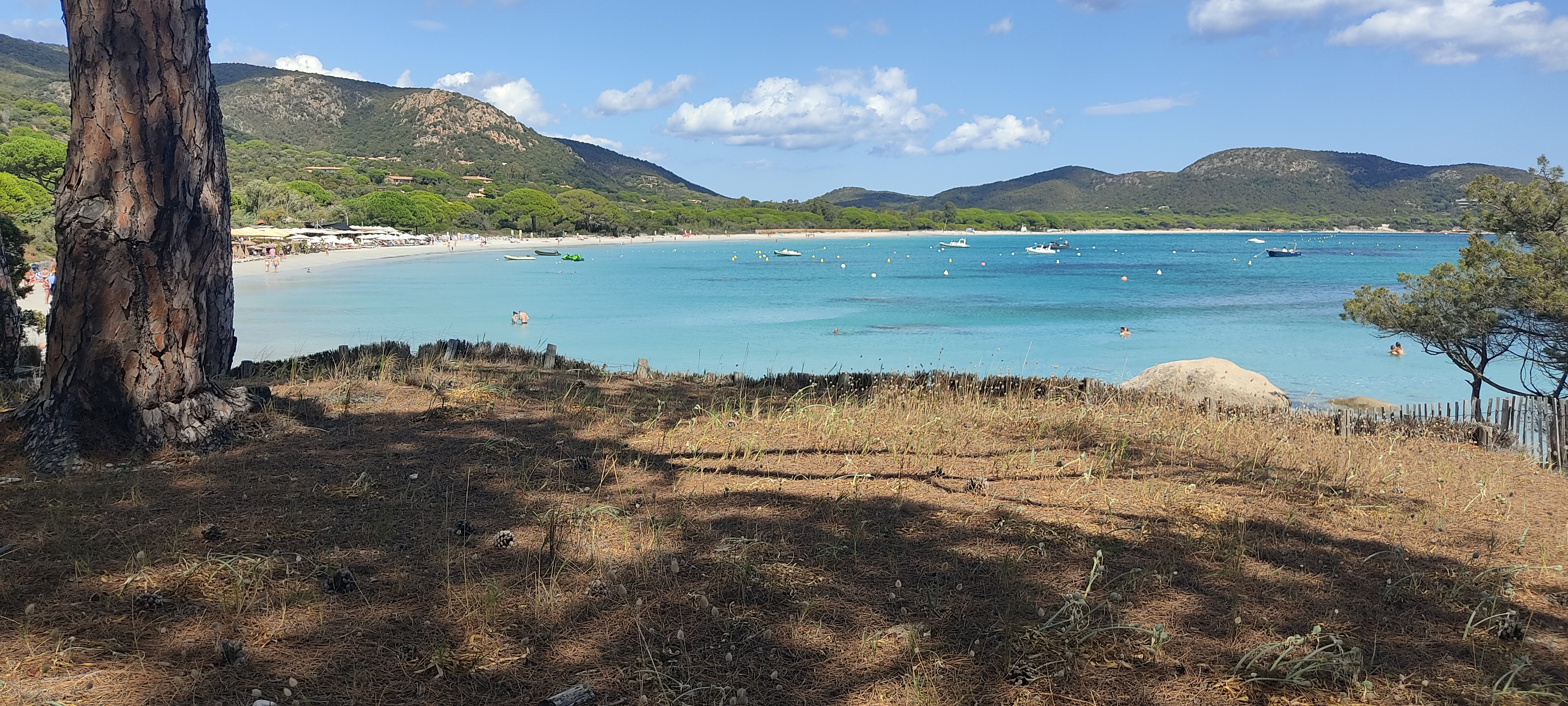 Photo n° 3 de l'avis de Nicolas.e fait le 19/09/2021 à 12:47