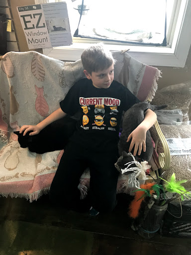 Pet Supply Store «Cat Shoppe & Dog Store», reviews and photos, 2824 Bransford Ave, Nashville, TN 37204, USA