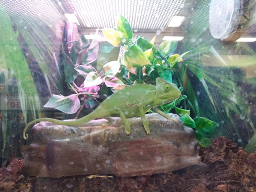 Pet Supply Store «PetSmart», reviews and photos, 7290 W Bell Rd, Glendale, AZ 85308, USA