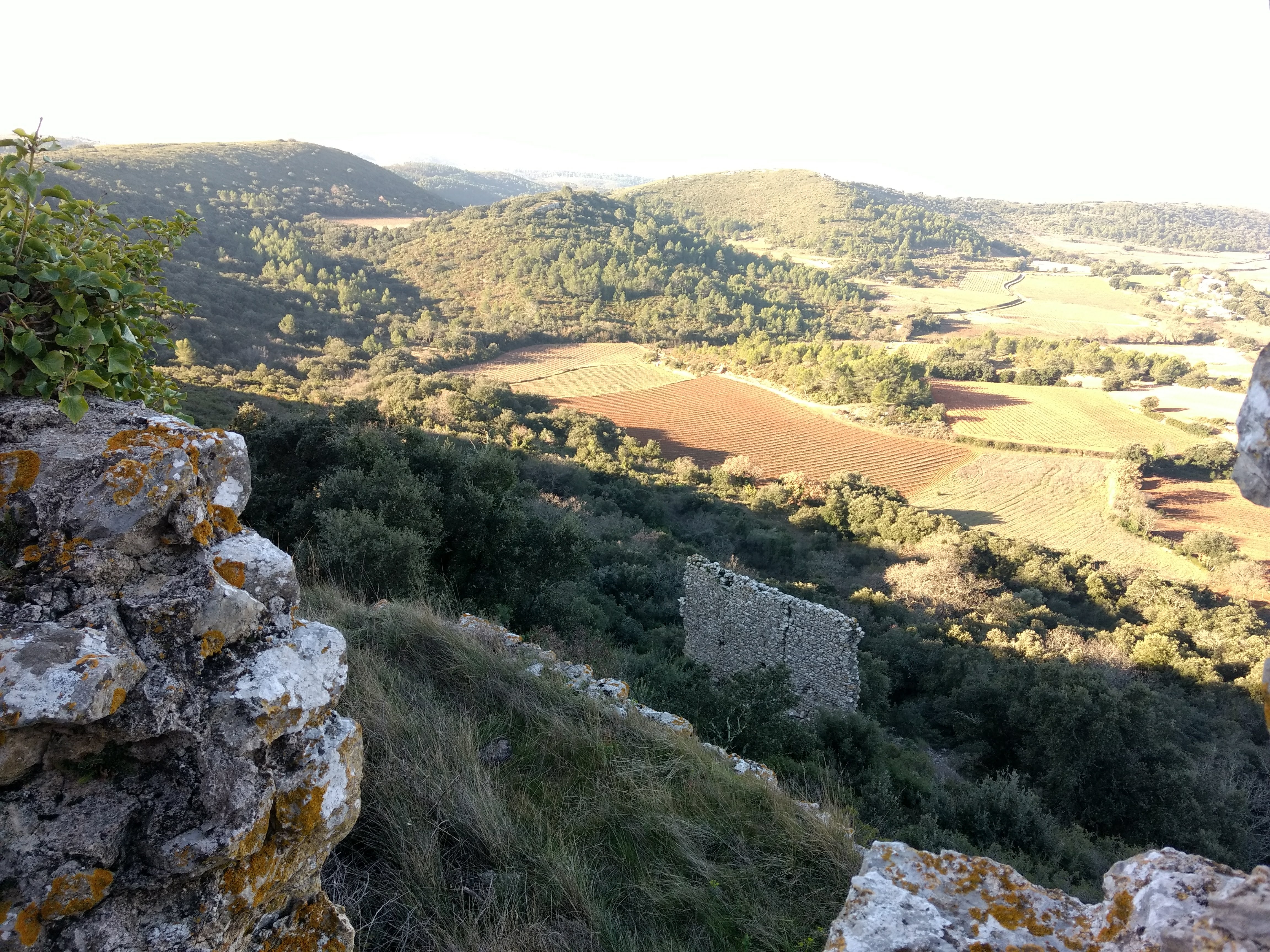 Photo n° 8 de l'avis de Béatrice.e fait le 24/02/2019 à 16:05