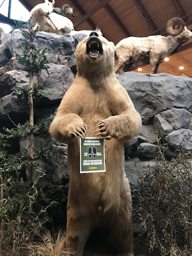 Sporting Goods Store «Bass Pro Shops», reviews and photos, 709 Janes Ave, Bolingbrook, IL 60440, USA