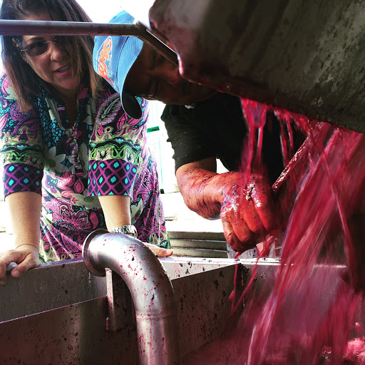 Winery «Stephen & Walker Winery», reviews and photos, 243 Healdsburg Ave, Healdsburg, CA 95448, USA