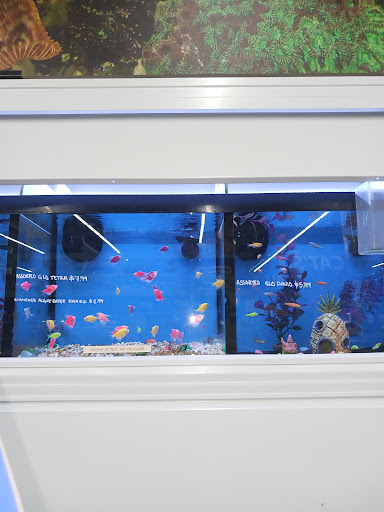 Pet Supply Store «Pet Club Rancho Cordova», reviews and photos, 2344 Sunrise Blvd, Rancho Cordova, CA 95670, USA