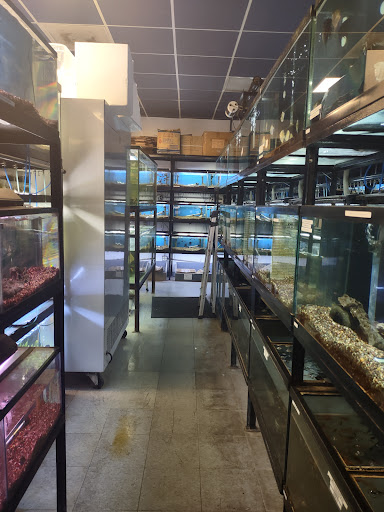 Pet Store «Animal Island Pet Shop», reviews and photos, 14411 S Cicero Ave, Midlothian, IL 60445, USA