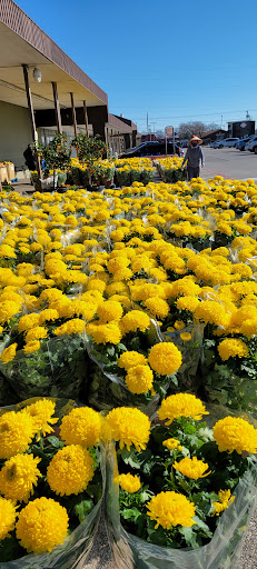 Asian Grocery Store «New Truong Nguyen Market», reviews and photos, 3555 East Walnut Street #221, Garland, TX 75042, USA