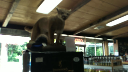 Gun Shop «Camp-Site Sport Shop Inc», reviews and photos, 1877 New York Ave, Huntington Station, NY 11746, USA