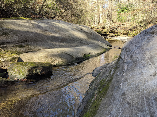 Nature Preserve «Daniel Johnson Nature Preserve», reviews and photos, 1301 Beech Valley Rd NE, Atlanta, GA 30306, USA