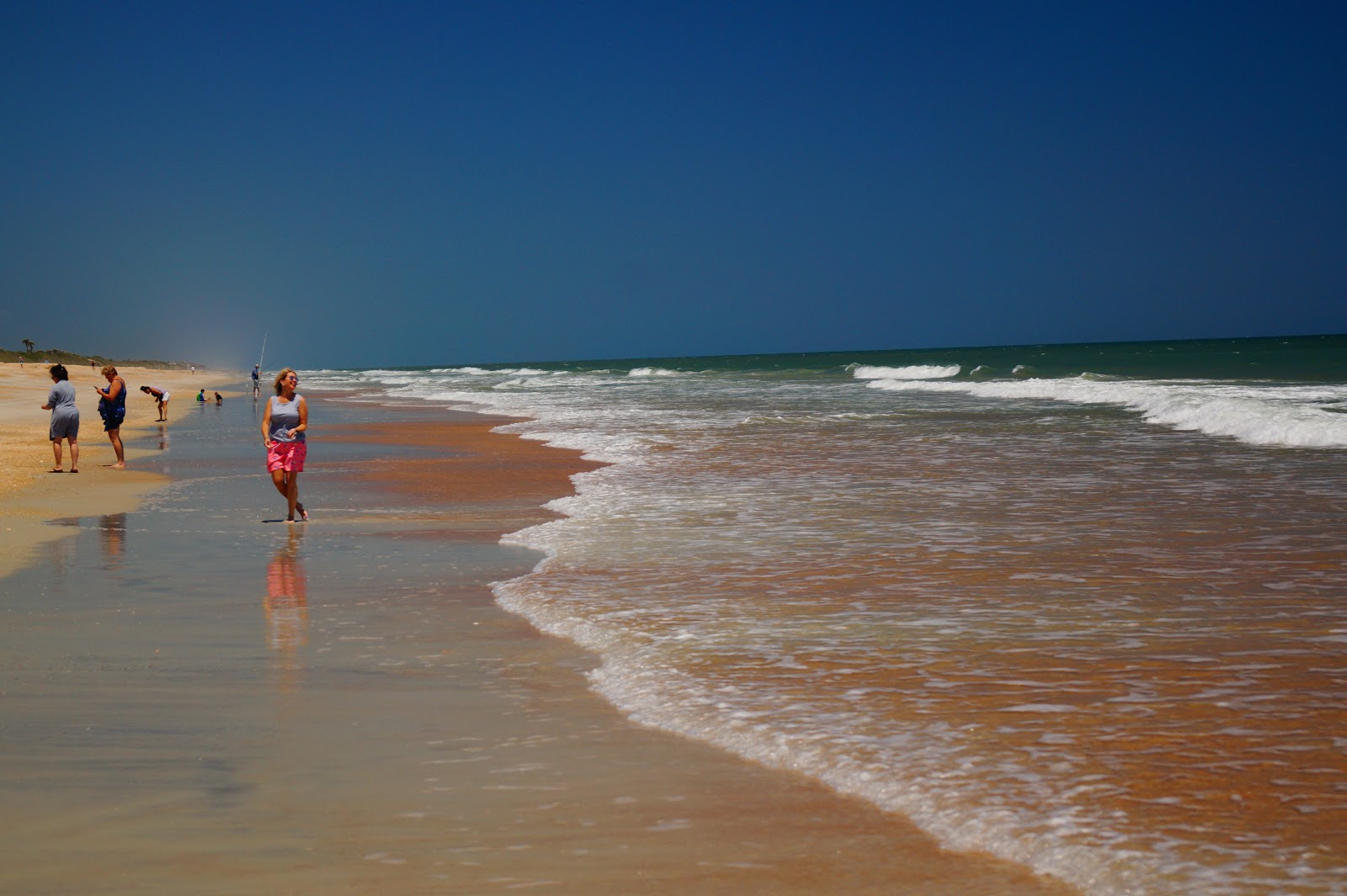 Foto de Guana Reserve beach ubicado en área natural