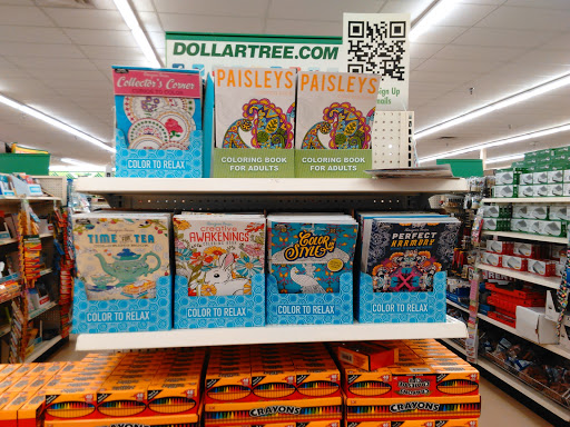 Dollar Store «Dollar Tree», reviews and photos, 900 Meridian Ave E #31, Milton, WA 98354, USA