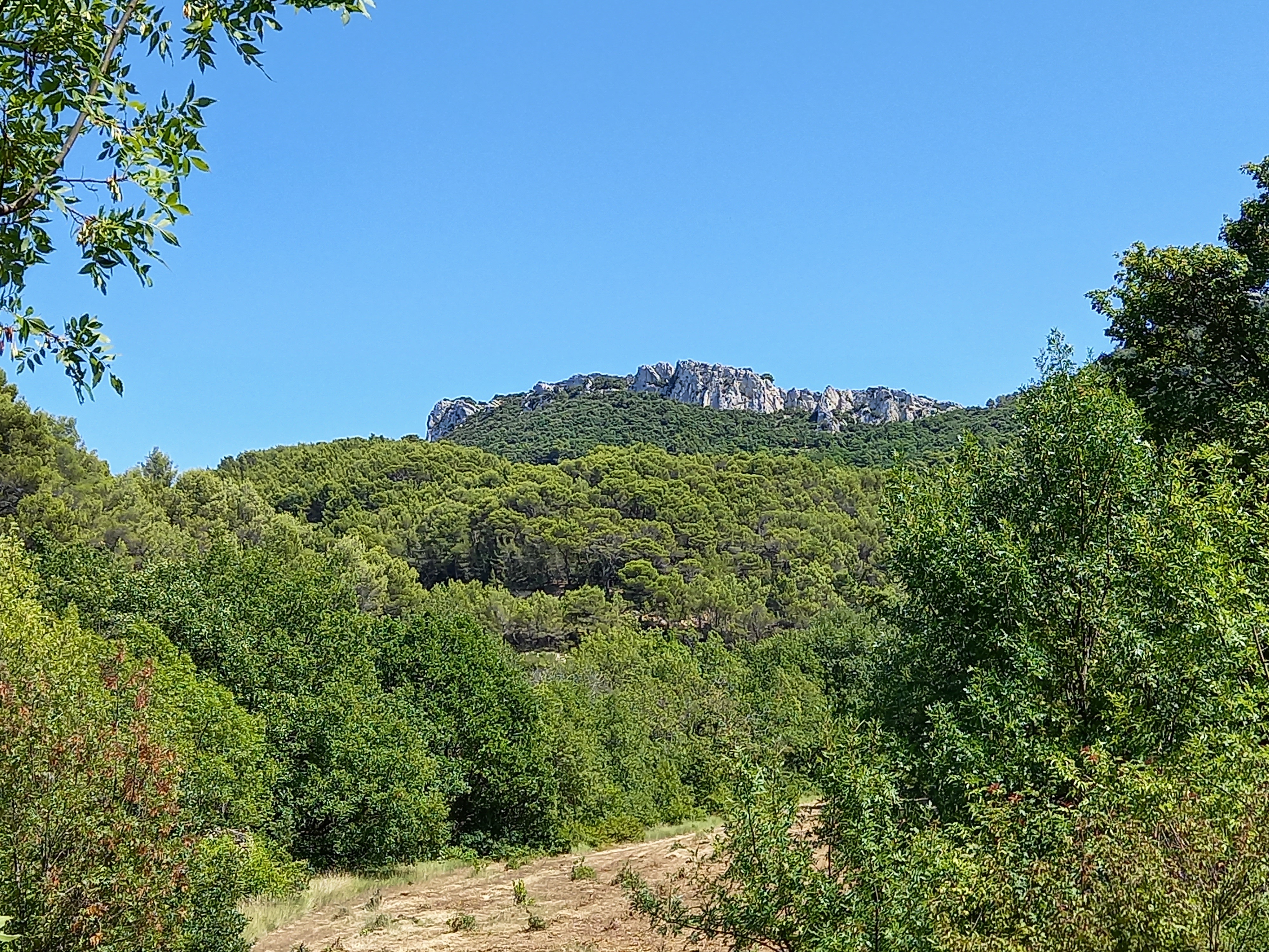 Photo n° 2 de l'avis de stephane.t fait le 19/08/2021 à 21:20