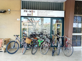 Prontobici Rimini: servizi di riparazione, vendita e noleggio di biciclette