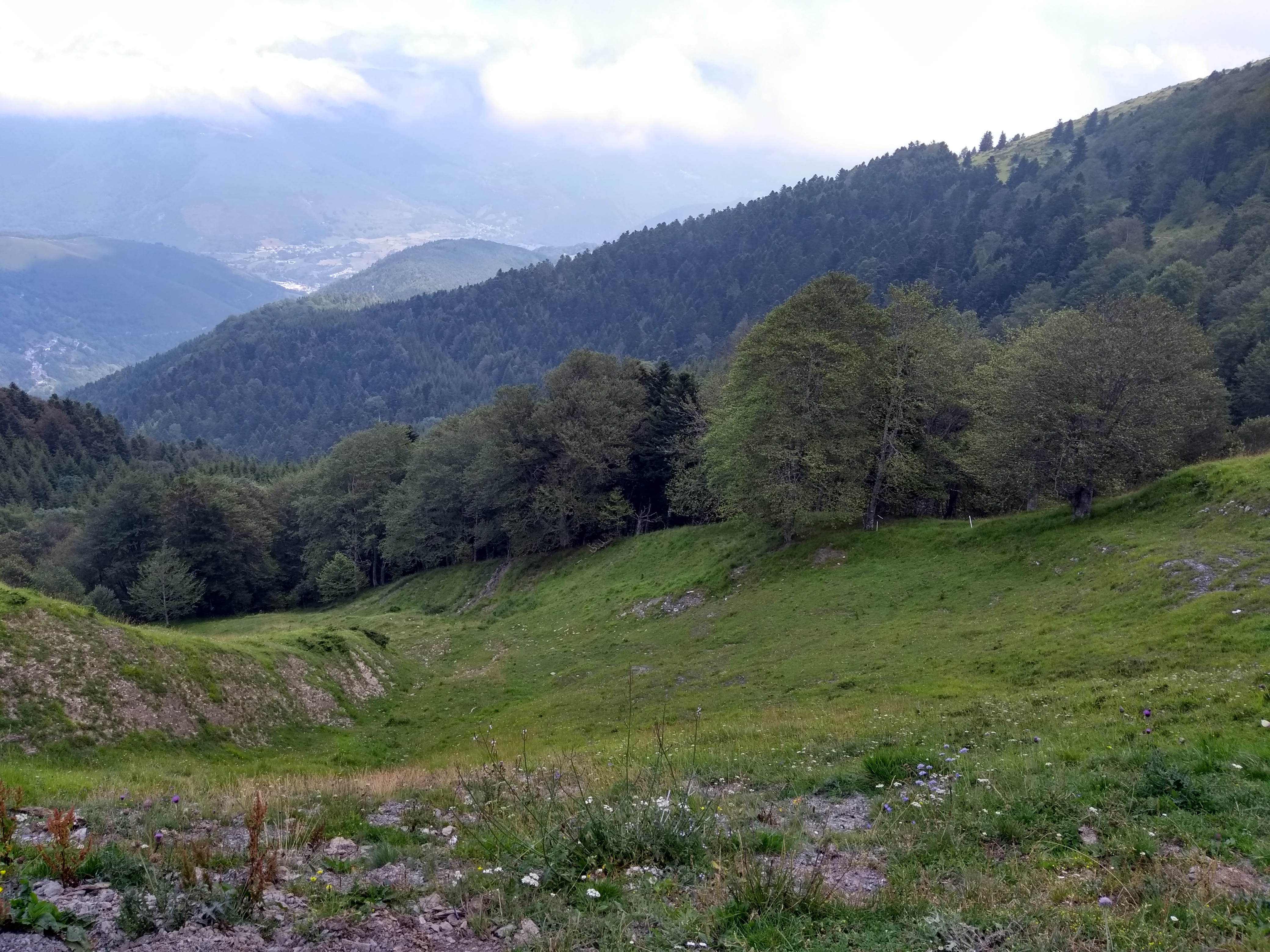 Photo n° 3 de l'avis de King.t fait le 17/07/2019 à 08:25