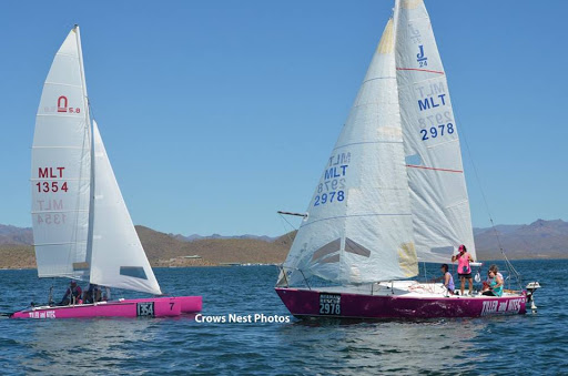 Sailing school Surprise