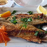 Photo n°1 de l'avis de João.o fait le 26/03/2023 à 14:03 sur le  Paris RESTAURANTE à Samora Correia