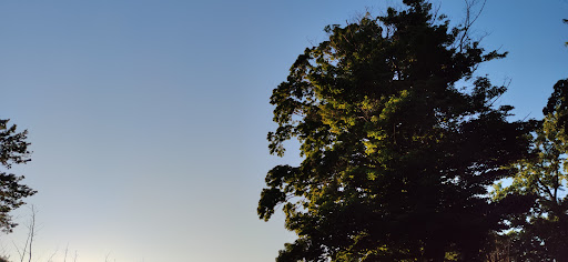 Park «Shades Beach Park», reviews and photos, 7000 E Lake Rd, Erie, PA 16511, USA