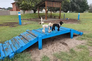 Beach Street Reserve - Off Lead Dog Park image