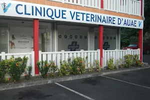 Clinique Vétérinaire d'Auae Faa'a - Docteur Le Breuil Florian image