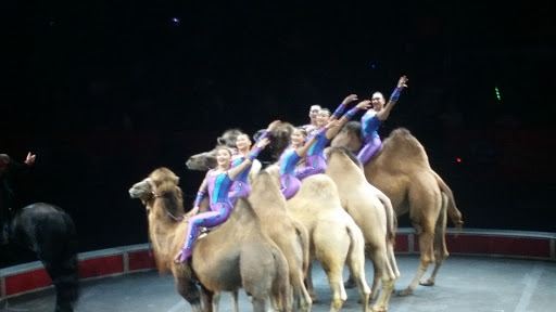 Event Venue «XL Center», reviews and photos, 1 Civic Center Plaza, Hartford, CT 06103, USA