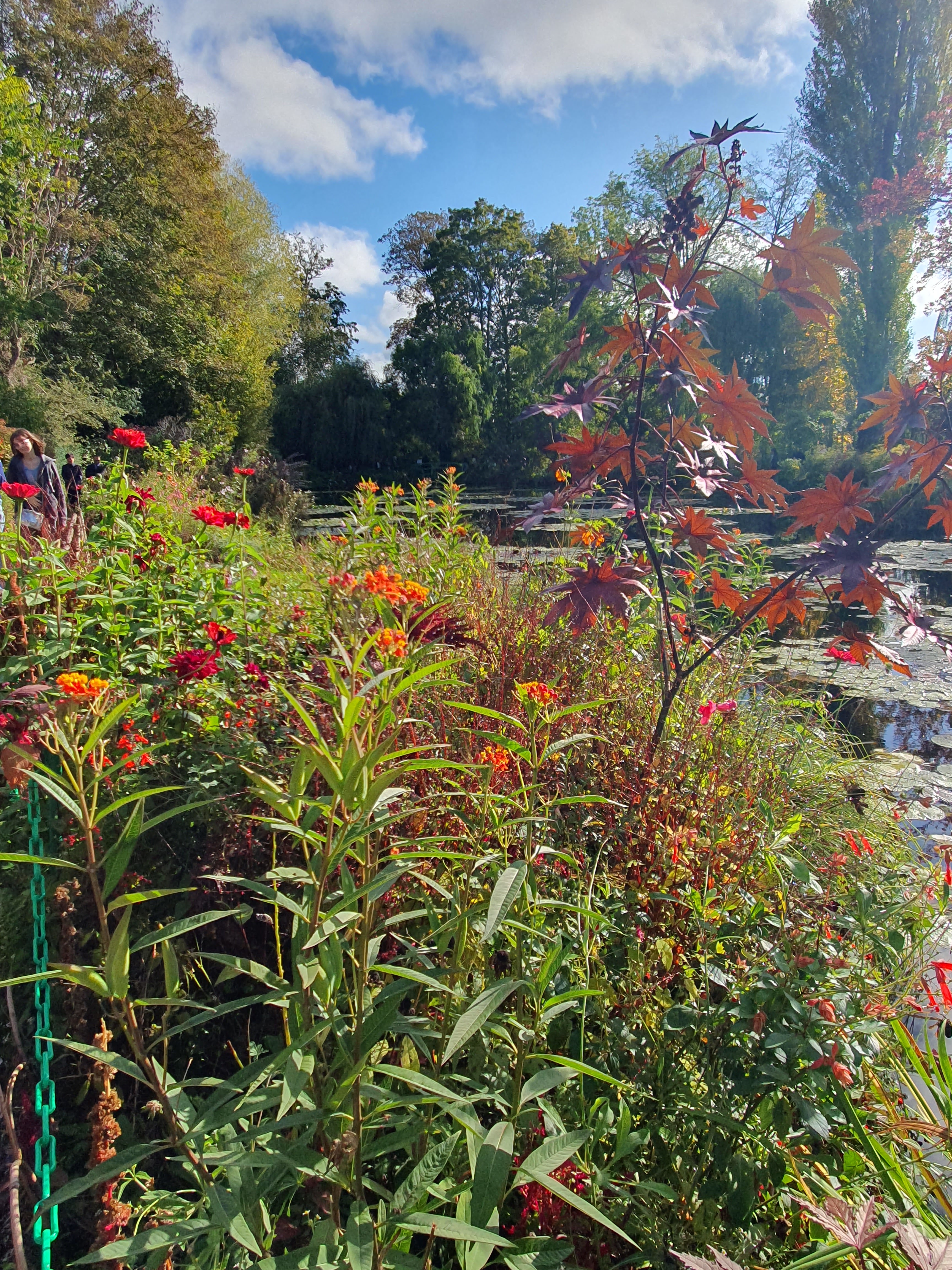 Photo n° 2 de l'avis de Anne-Claire.e fait le 14/11/2023 à 10:49