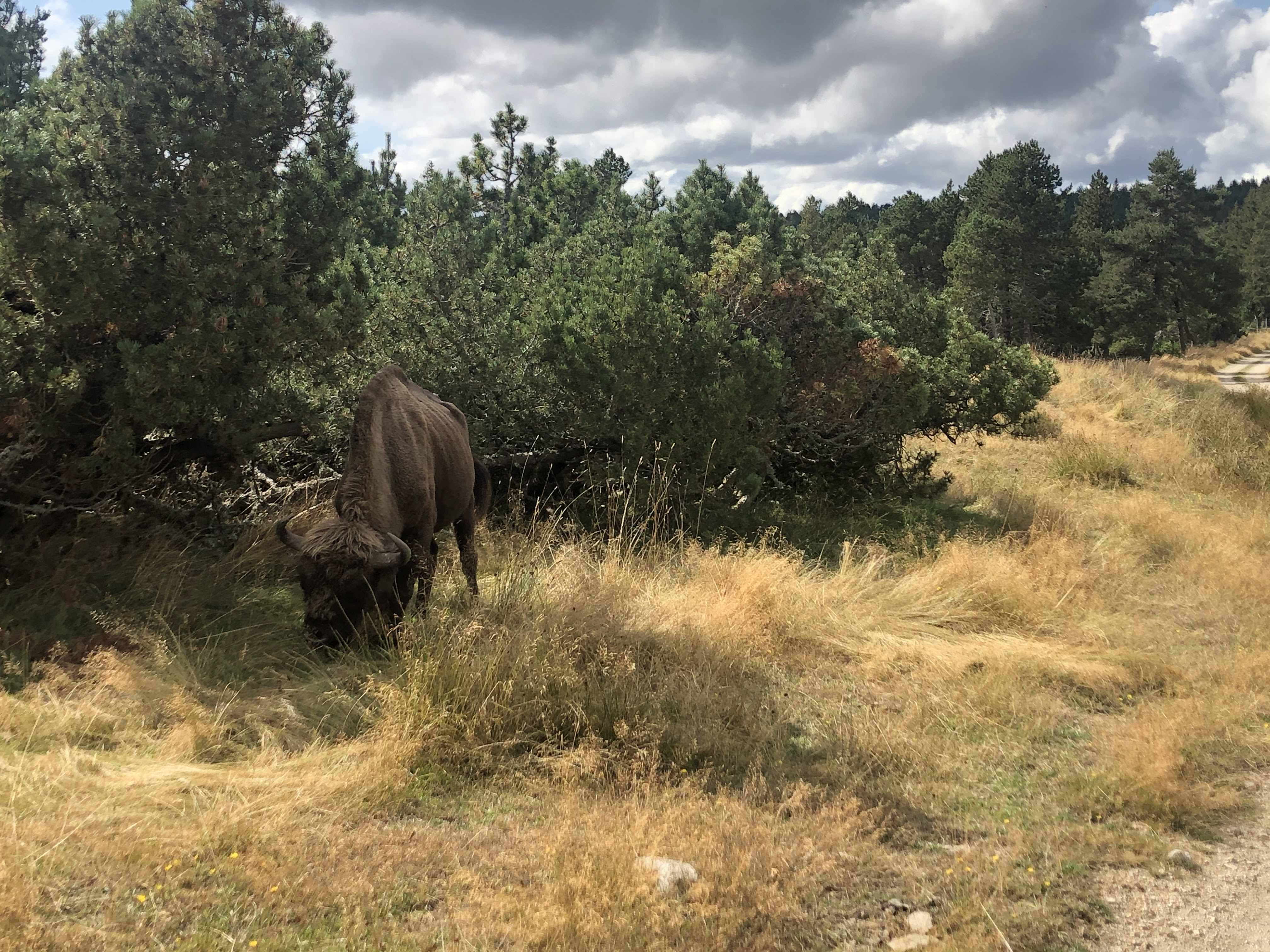 Photo n° 1 de l'avis de Manon.R fait le 30/08/2020 à 07:37