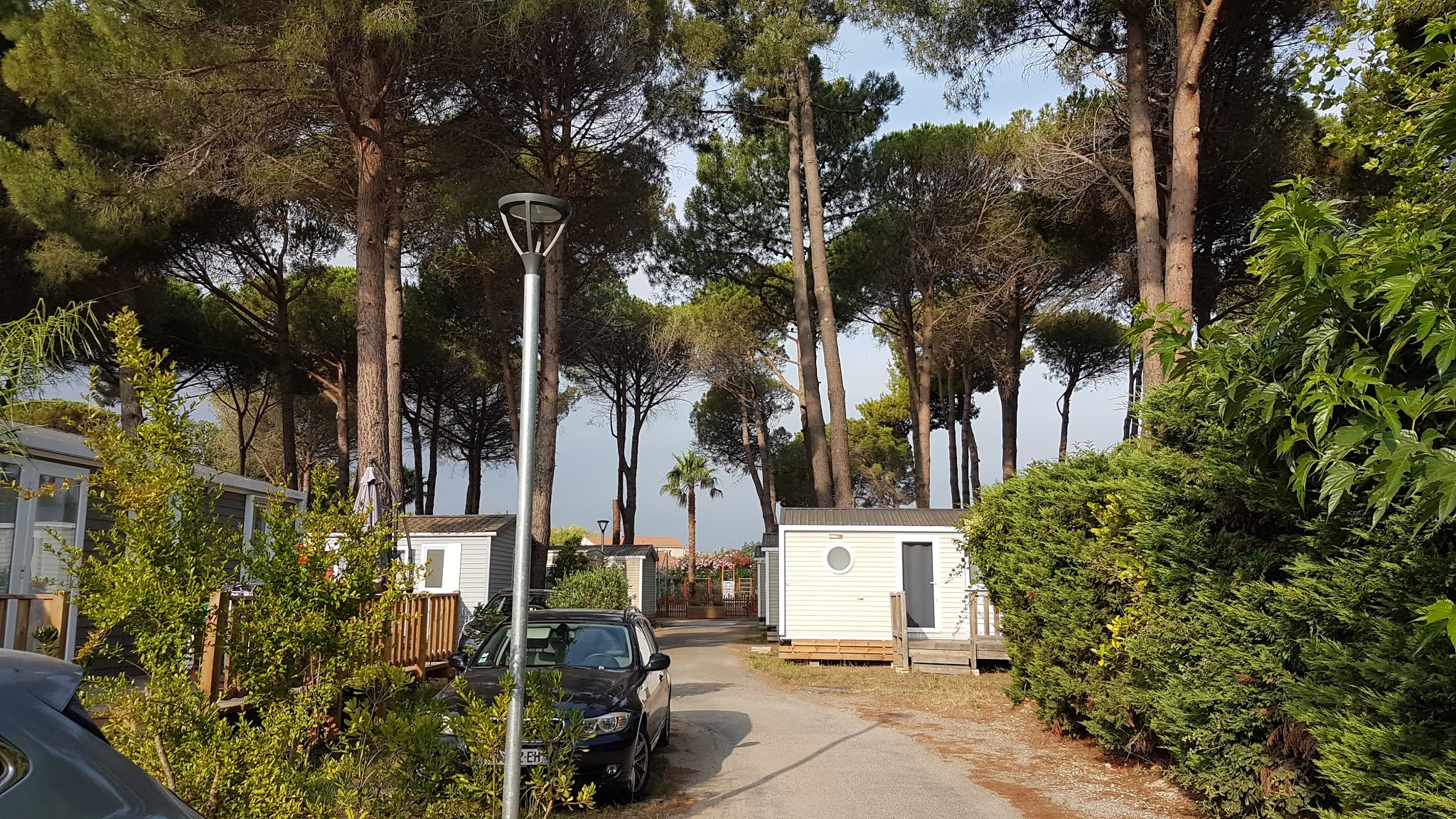 Photo n° 1 de l'avis de serge. fait le 10/08/2019 à 05:35