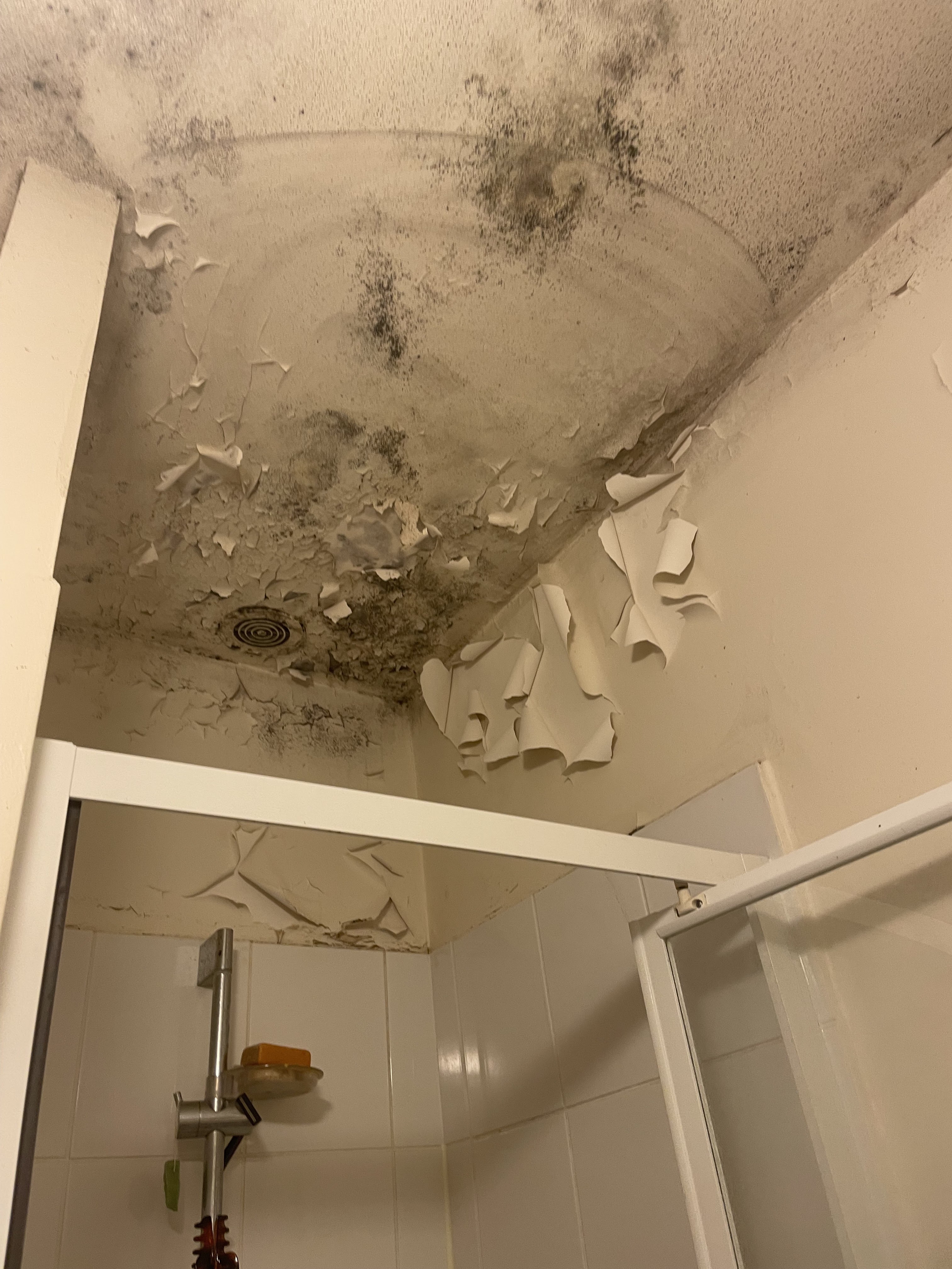 Photo n° 6 de l'avis de Améline.U fait le 17/11/2023 à 15:25