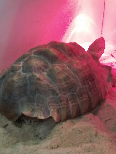 Pet Store «Fins Feathers Paws Claws», reviews and photos, 201 Station Rd, Quakertown, PA 18951, USA