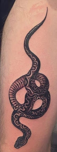 Explore cubs tattoo ideas, creative tattoo ideas in Mesa, available at Ranger Tattoo & Piercing