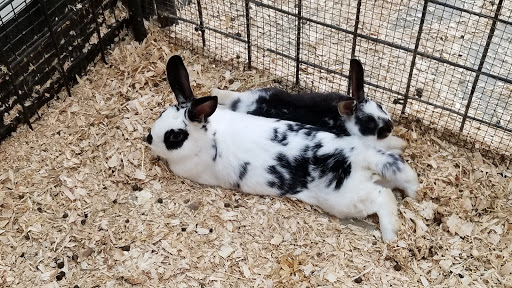 Water Park «Monsoon Lagoon Watering Hole Safari & Waterpark», reviews and photos, 1530 S Danbury Rd, Port Clinton, OH 43452, USA