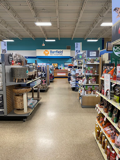Pet Supply Store «PetSmart», reviews and photos, 730 S Sepulveda Blvd, El Segundo, CA 90245, USA