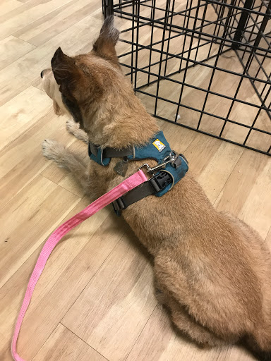 Pet Supply Store «EarthWise Pet», reviews and photos, 4880 Lower Roswell Rd #10, Marietta, GA 30068, USA