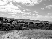 Wilfs Place Pet Services - Photo 6 - Car repair in , Salinas