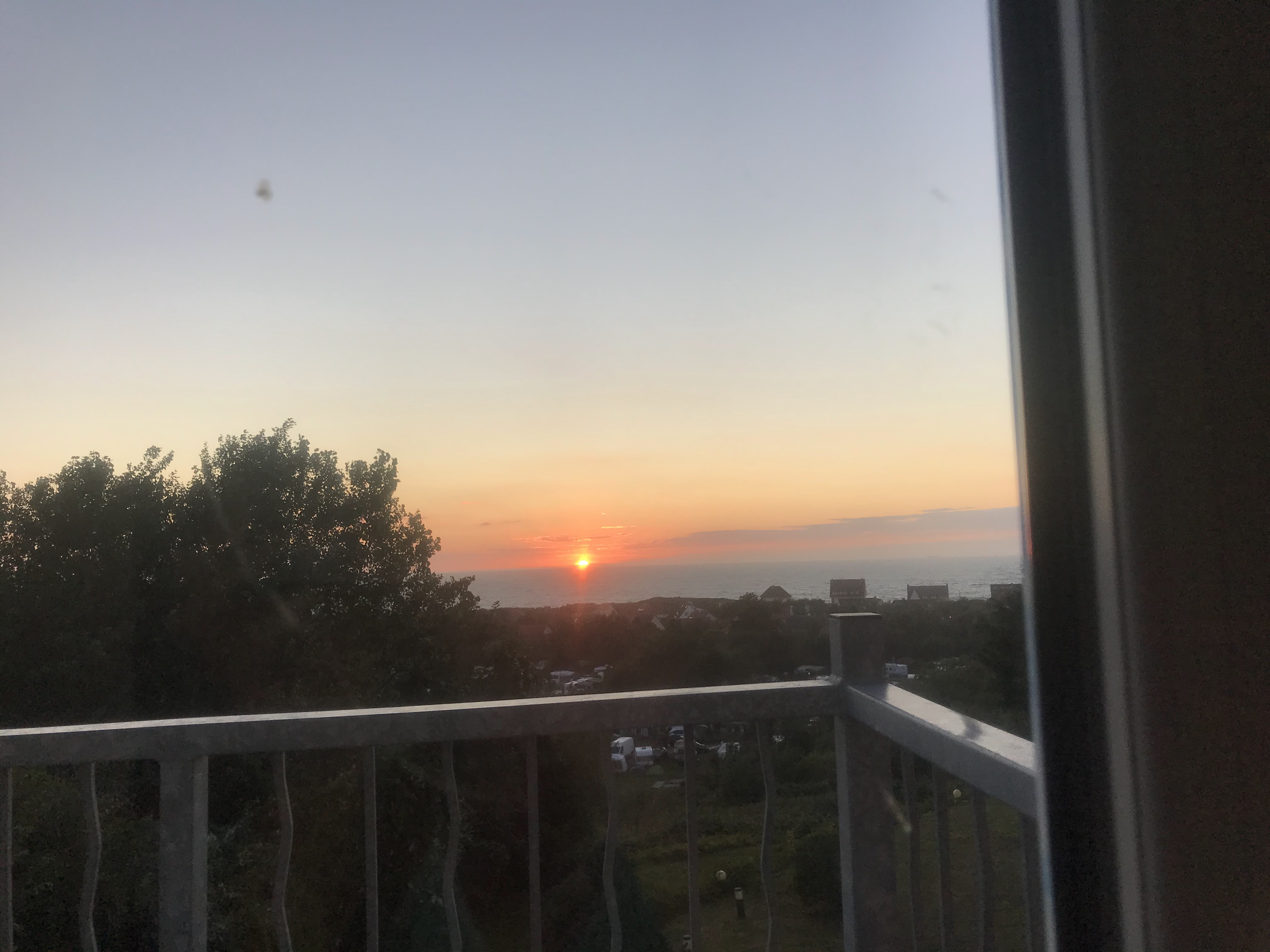 Photo n° 1 de l'avis de Wim.H fait le 31/07/2020 à 11:10